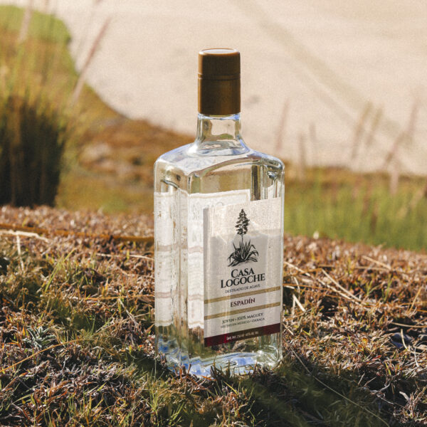 Casa Logoche Mezcal - Espadín