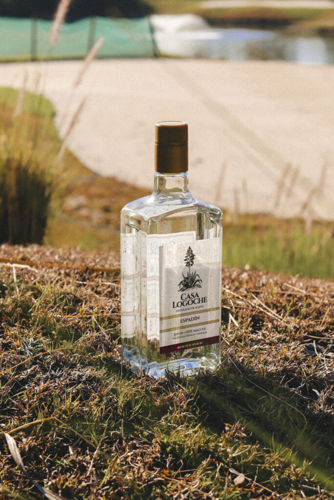 Casa Logoche Mezcal – Espadín