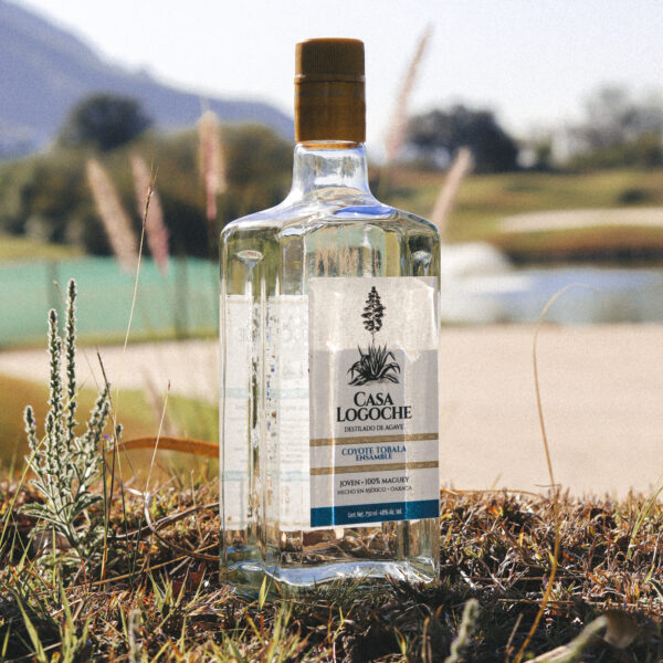 Casa Logoche Mezcal - Ensamble Coyote Tobalá