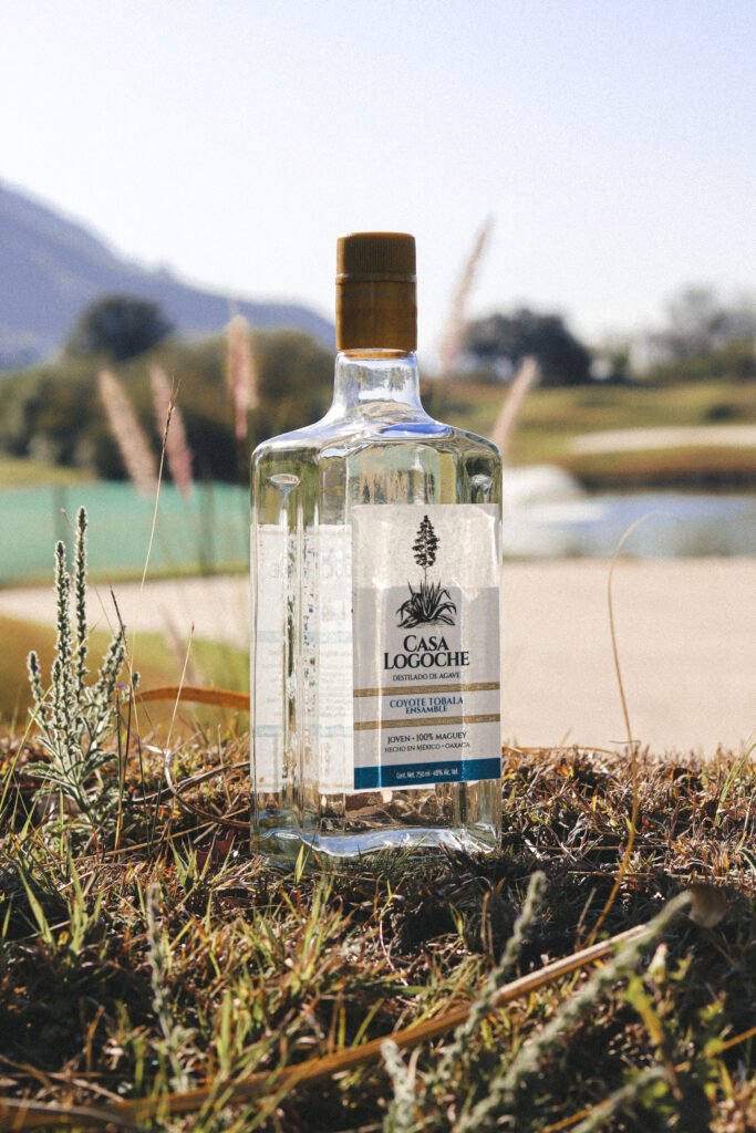 Casa Logoche Mezcal – Ensamble Coyote Tobalá